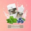 Deko Blueberry Peppermint (Salt) (30ml) Việt Quất Bạc Hà